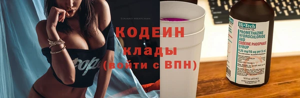 прущие крисы Вяземский