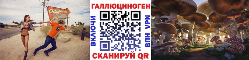 Купить  Верещагино  Псилоцибиновые грибы Psilocybine cubensis 